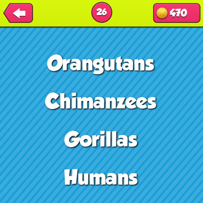 Primates 