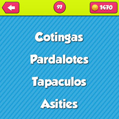  Passerines 