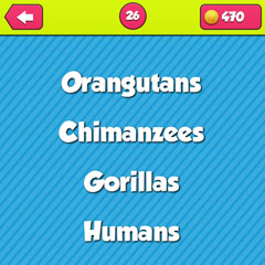  Primates 